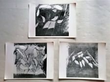 SANDRO MARTINI - 3 FOTO ORIGINALI vintage opere "La salamandra" 1973