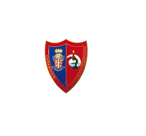 Pins distintivo carabiniere - distintivo,
