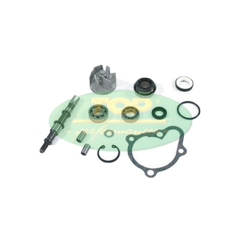 Aa00816 kit revisione pompa - aa00816,