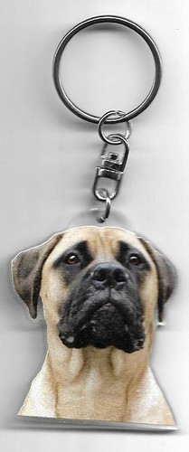 Bullmastiff chien porte cles - bullmastiff,