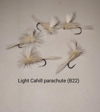 Fly fishing - fly, flies)