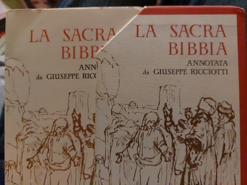 Sacra bibbia annotata - bibbia, da