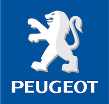 Kit vernice ritocco furgone
