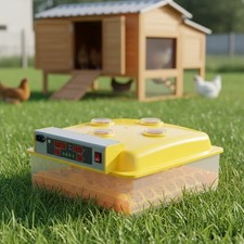 Incubatrice automatica