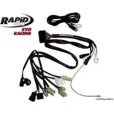 Cablaggio RapidBike Evo/Racing