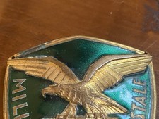 Scudetto Smaltato Forestale