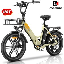20" 250W Bicicletta Elettrica