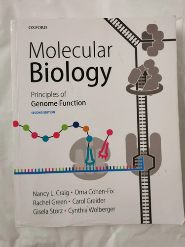 Molecular biology principles - molecular, biology: