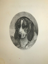 Goffredo jadin - goffredo, (1805-1882)