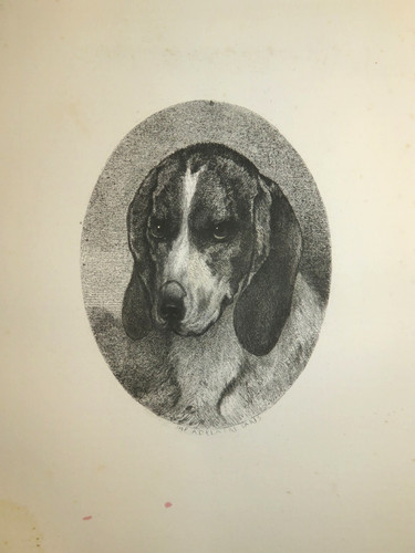 Goffredo jadin - goffredo,