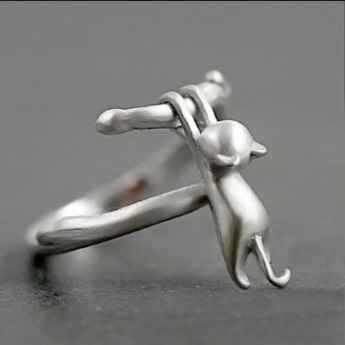Anello regolabile gatto - , su