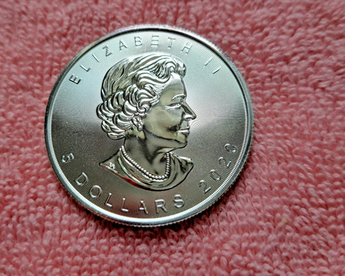 Moneta dollari 2020 oz - 5,