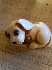 Thun piccolo cane labrador