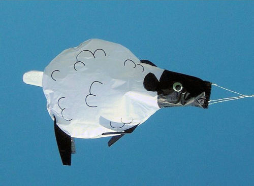 Pecorella manica vento - a,