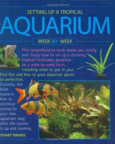 Setting tropical aquarium - up, a