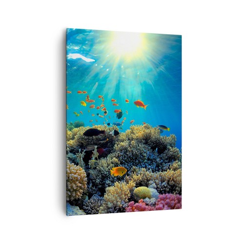 Quadro tela 70x100cm - su,