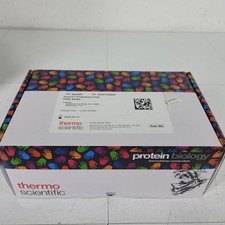 Thermo A43888 Strisce Piastra