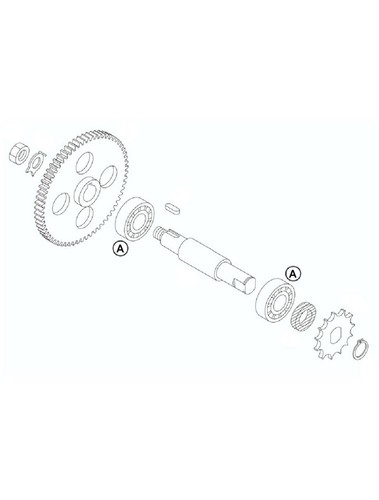 Cuscinetti albero motore ktm - cuscinetti,