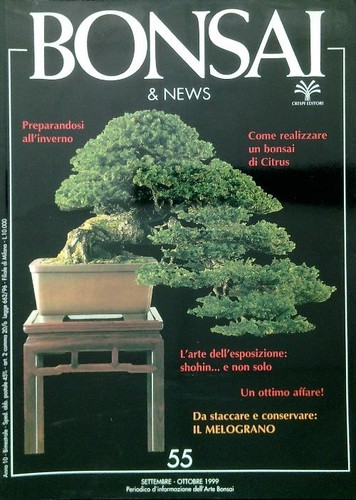 Bonsai news settembre - bonsai, &