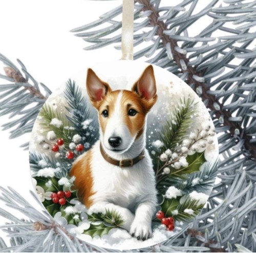 Fox terrier cane - fox,