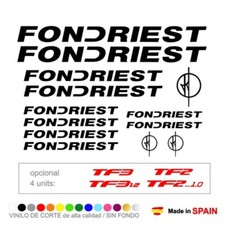 13 Pegatinas Vinilo FONDRIEST