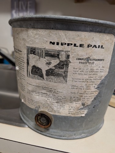 Secchio per capezzoli - , vintage