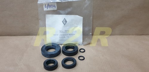 Serie paraoli motore - paraoli,