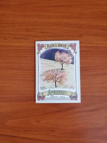 2021 topps allen ginter - 2021,