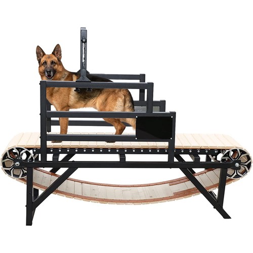 Tapis roulant per cani - tapis, di