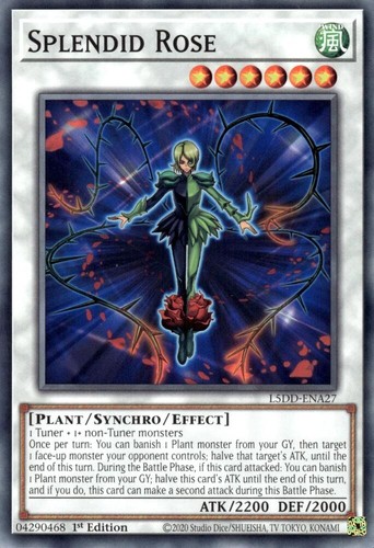 Splendid rose l5dd - splendid,
