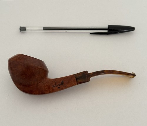 Pipa amorelli stella - amorelli, 1