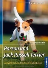 Parson und Jack Russell