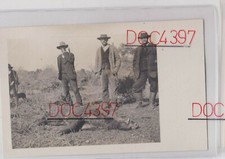 NAPOLI FOTO CARTOLINA SCENA CACCIA CINGHIALE ANIMATA FPNV SUPER