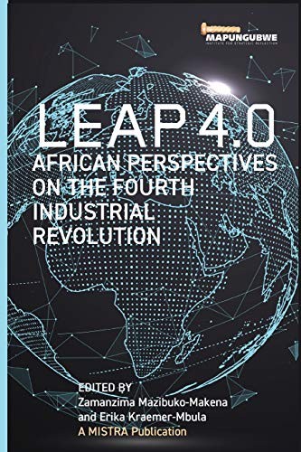 Leap african perspectives - african,