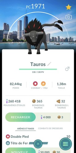 Paldean tauros aqua - paldean, chicago