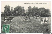 AWHP1-0045-37 - La Membrolle -