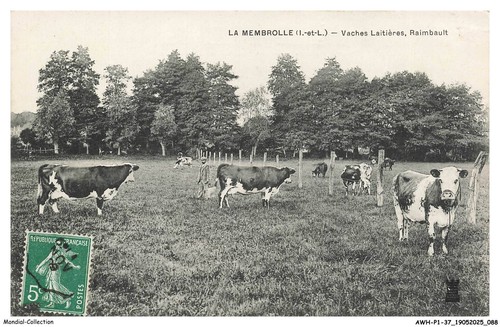 Awhp1 0045 membrolle - -,