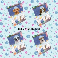 Calamita frigorifero Rub a Dub