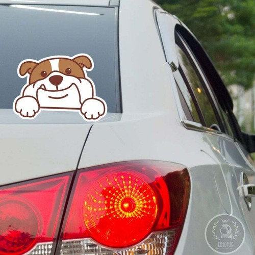 Adesivo bulldog inglese auto - adesivo,