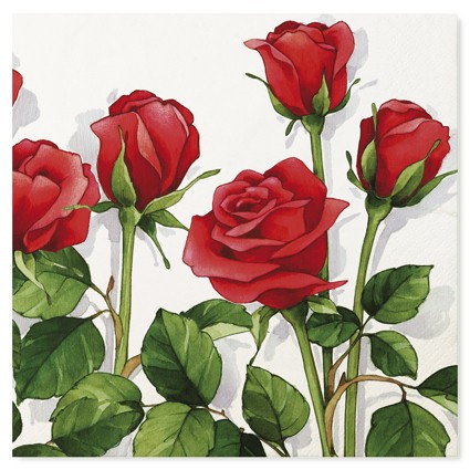 Tovaglioli carta rose - carta,