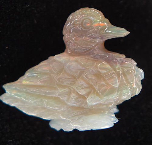Statuina anatra opale