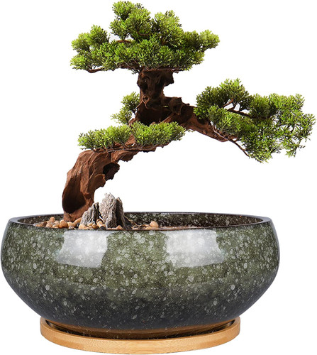 Vaso per bonsai ceramica - per,