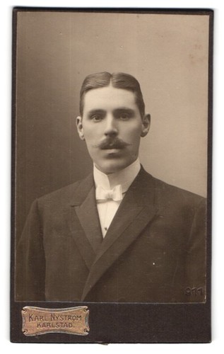 Fotografie karl nyström - karl,
