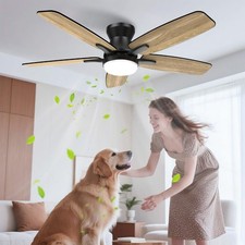 Ventilatore da Soffitto con