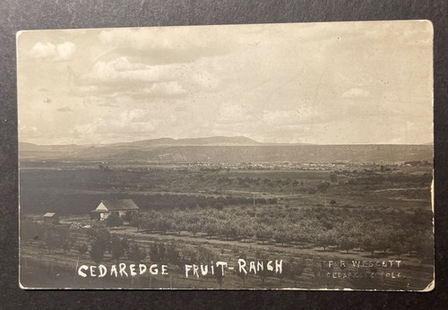 Cedaredge fruit ranch colorado - cedaredge,