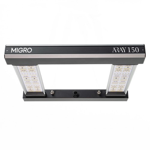 Migro aray 150 - grow, led