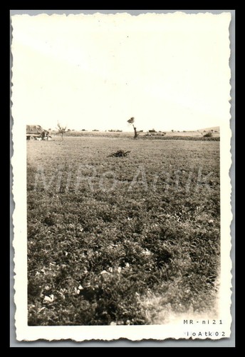 Foto seconda guerra mondiale - seconda,