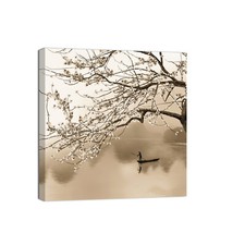 Canvashop Quadri moderni