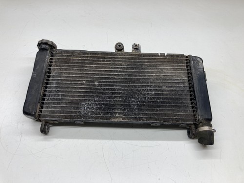 Radiatore radiator acqua - radiatore,