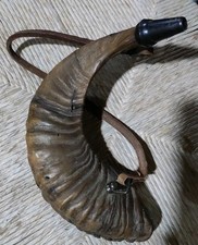 Corno  di muflone porta polvere   trofeo  caccia Raro